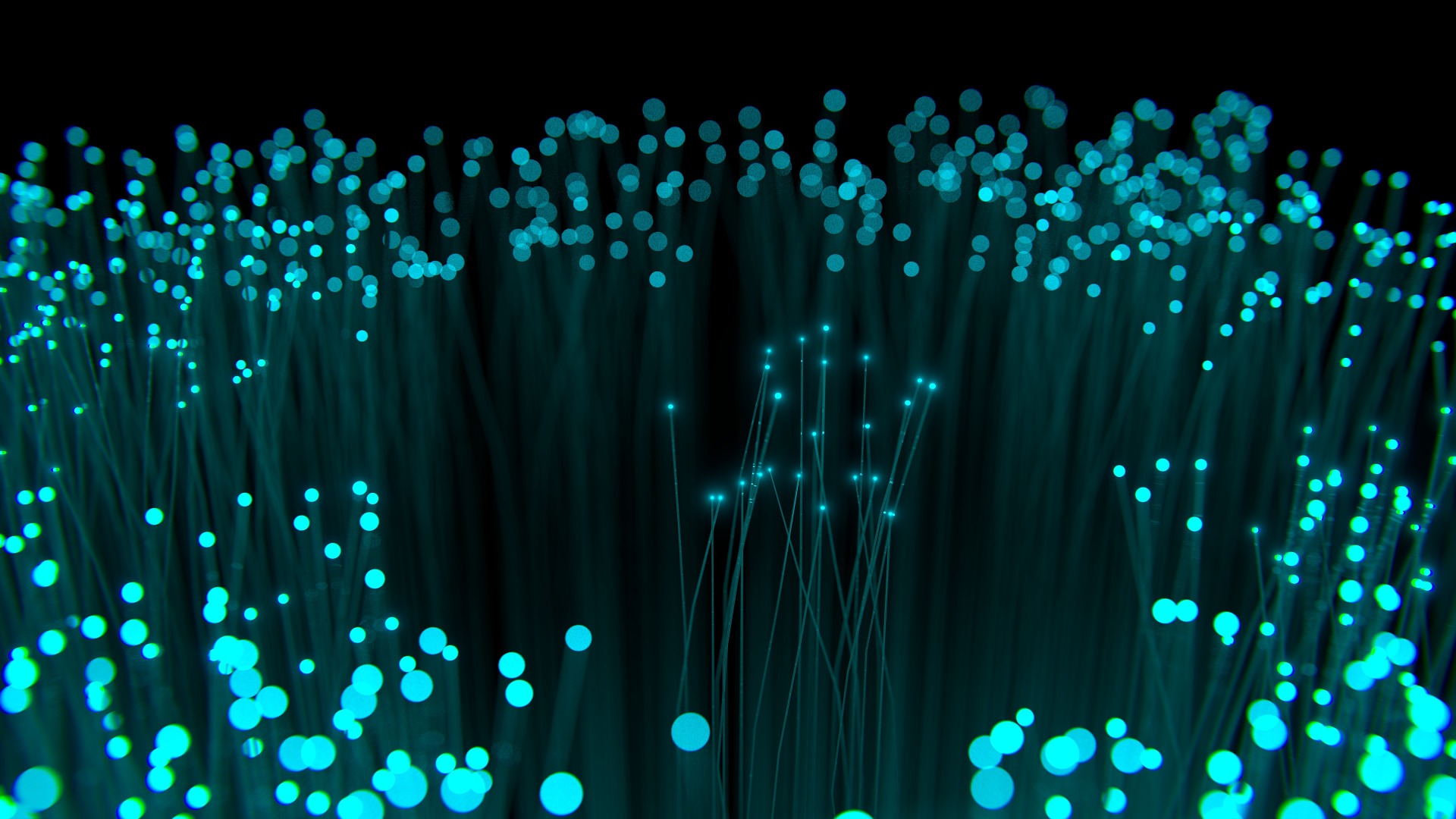 Fibra Optica