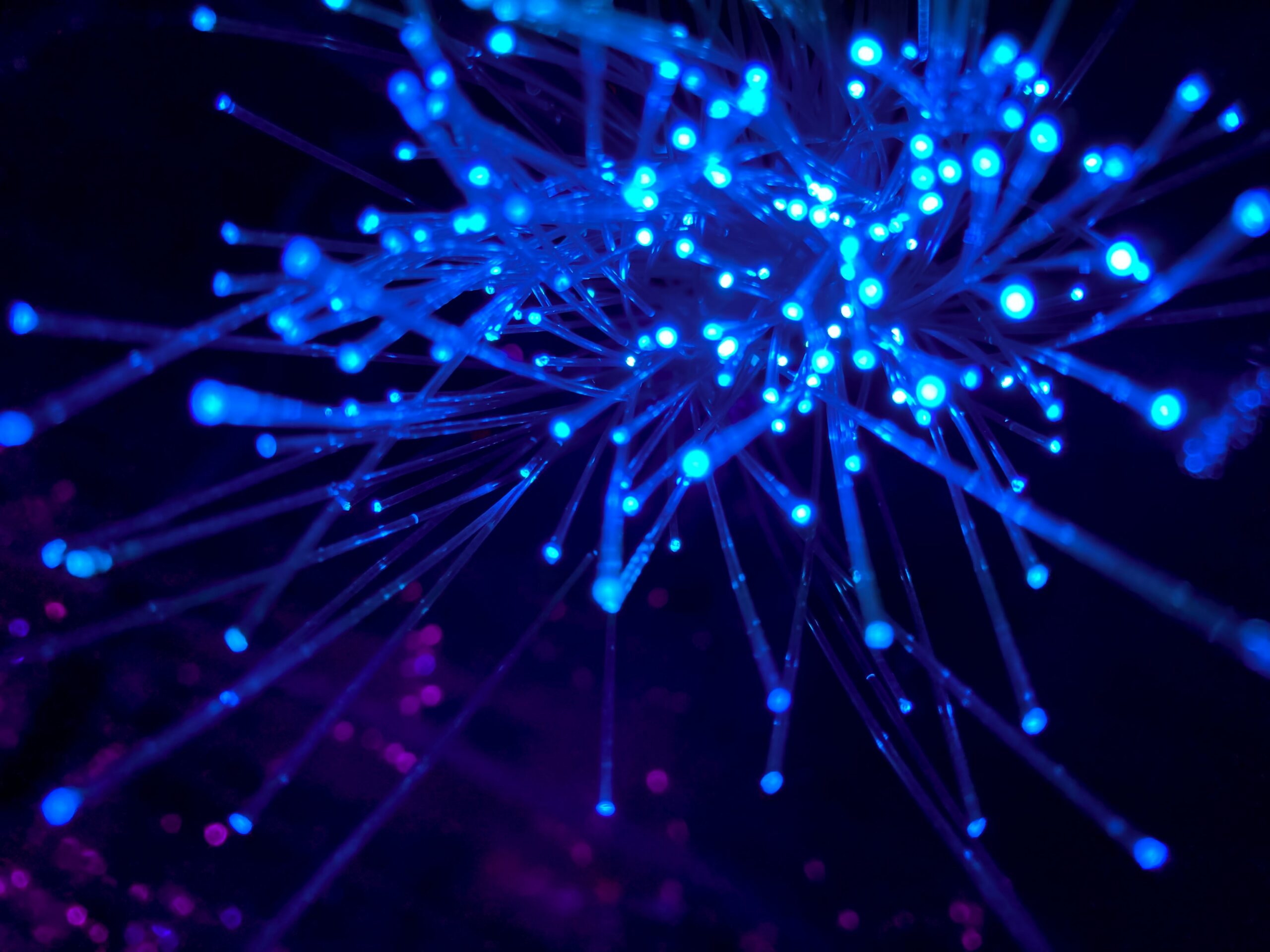 Fibra optica